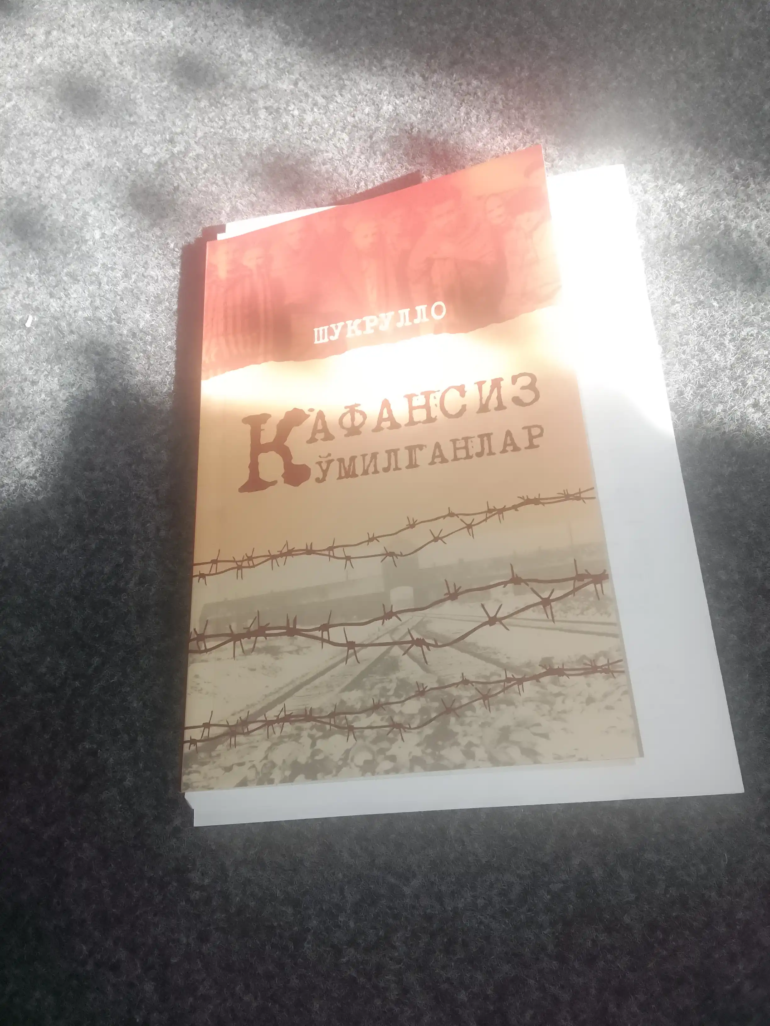Похороненные без савана, Шукрулло, Вопль совести, ищущей справедливости