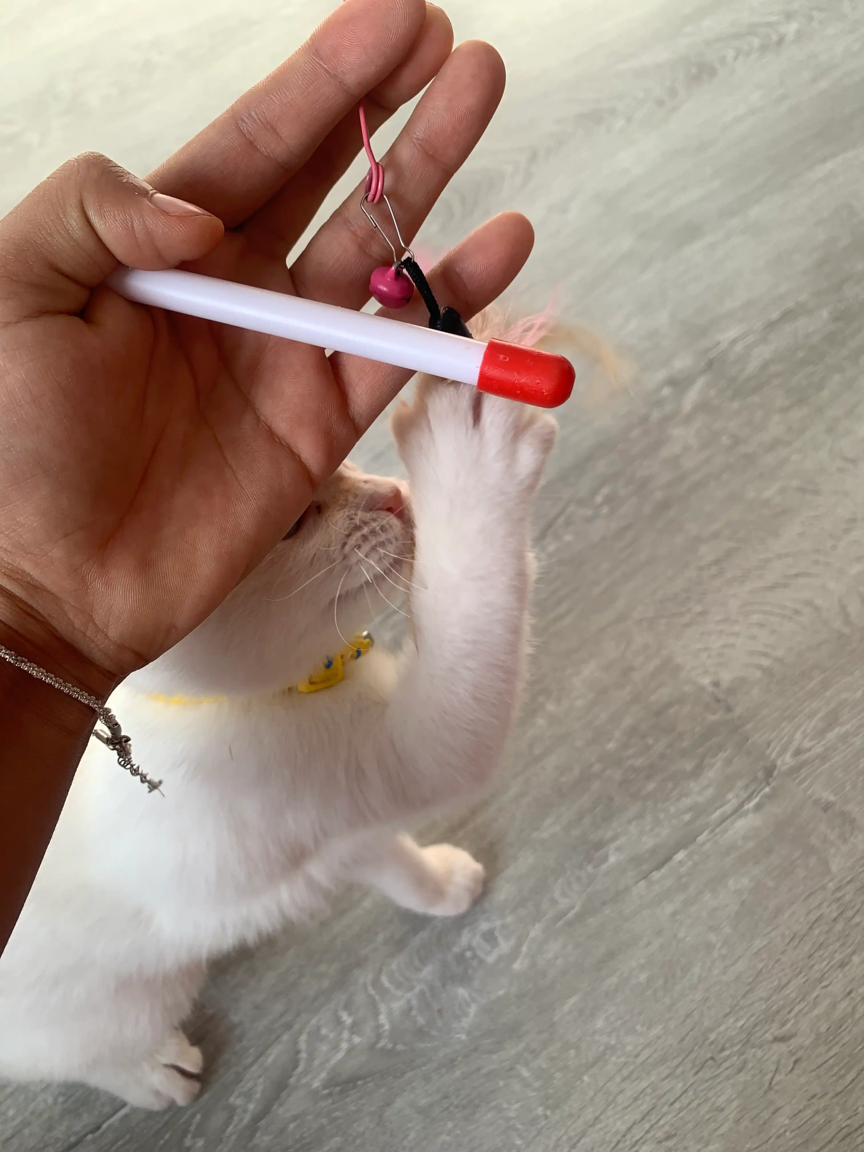 Интерактивная игрушка для кошек