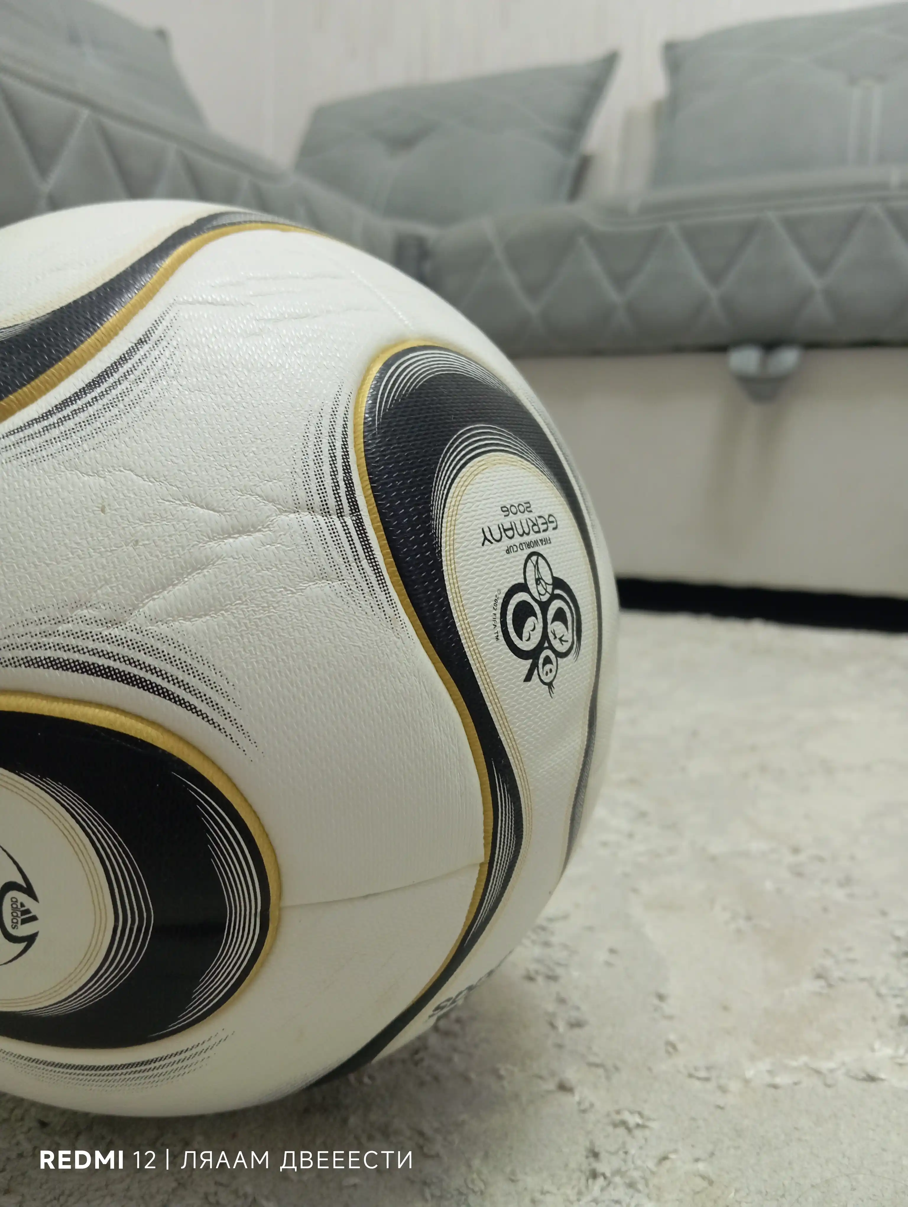 FIFA World Cup Germany 2006 futbol to‘pi – afsonaviy rasmiy dizayn, 5 razmer