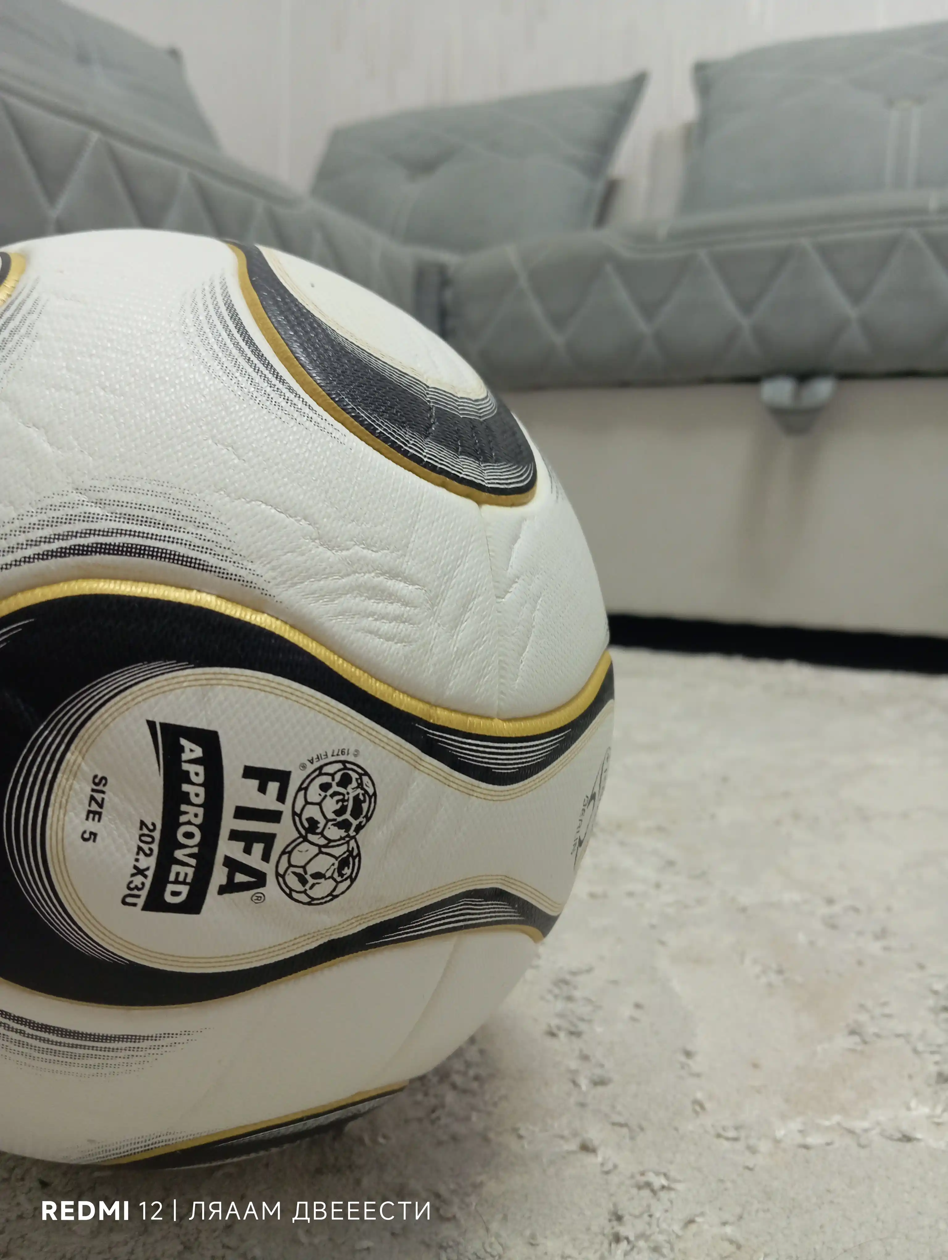 FIFA World Cup Germany 2006 futbol to‘pi – afsonaviy rasmiy dizayn, 5 razmer