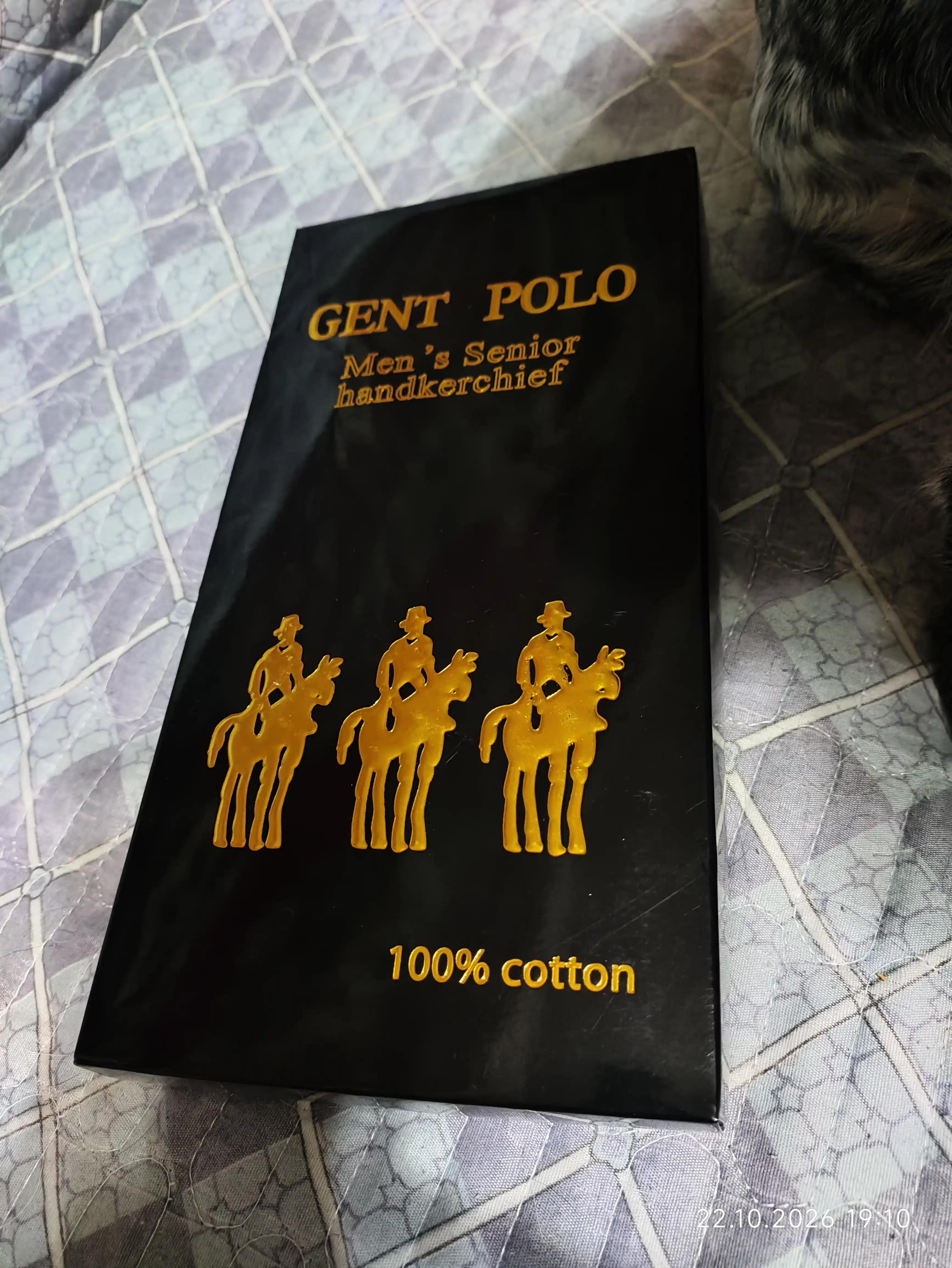 POLO, мужские платки, набор, 10 штук