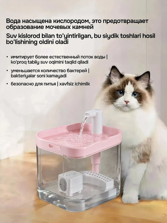 Avtomatik sug‘orish mashinasi mushuk va  — filtrlash va suvning sirkulyatsiyasi bilan