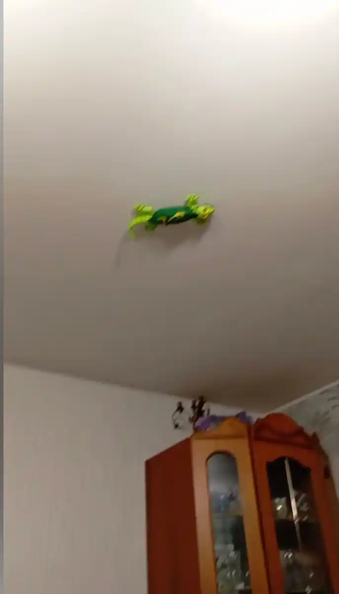 Robot o‘yinchoq pult bilan, devorda yuradigan kaltakesak, LED ko‘zli