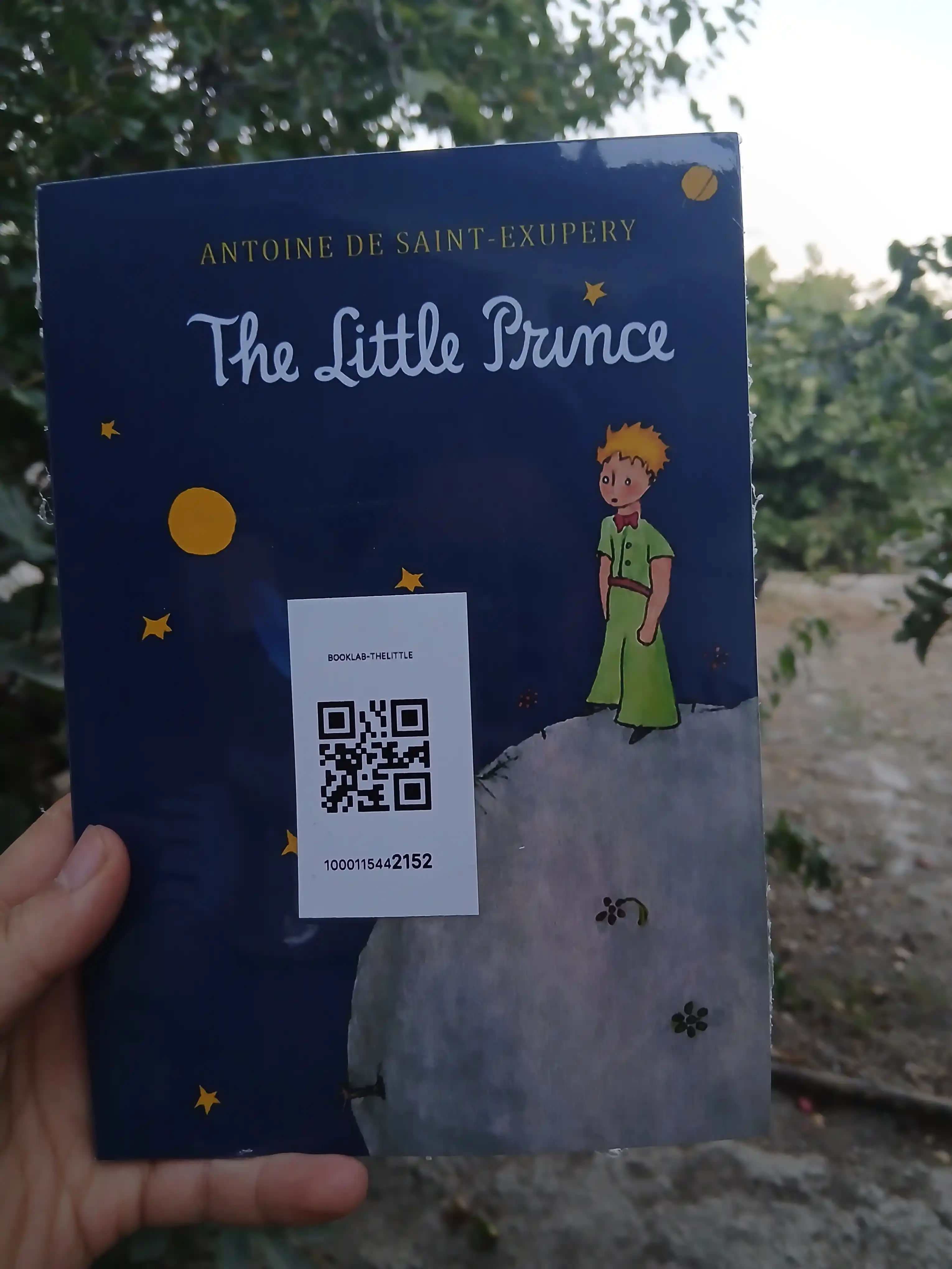 Antoine de Saint Exupery: The Little Prince