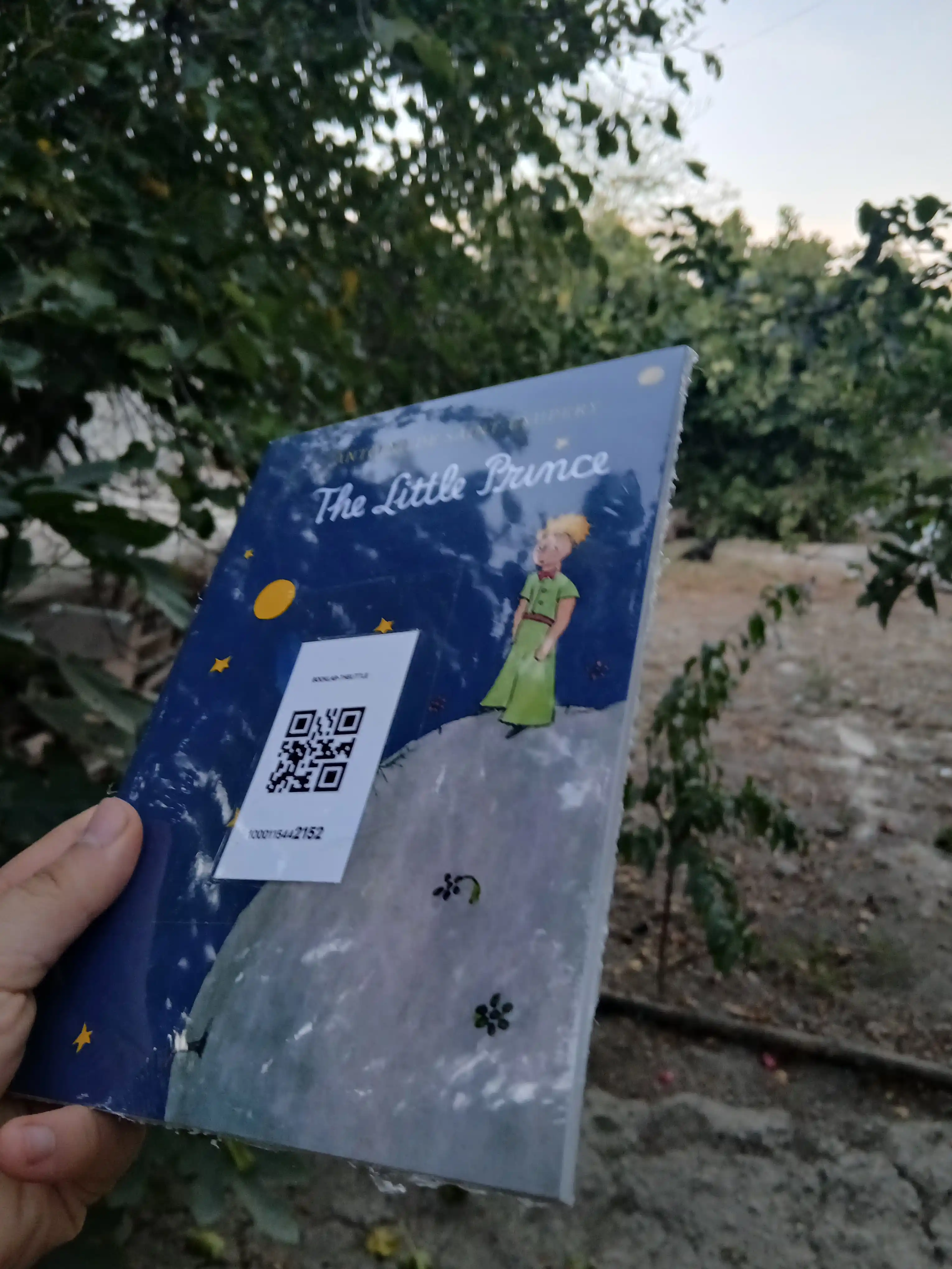 Antoine de Saint Exupery: The Little Prince
