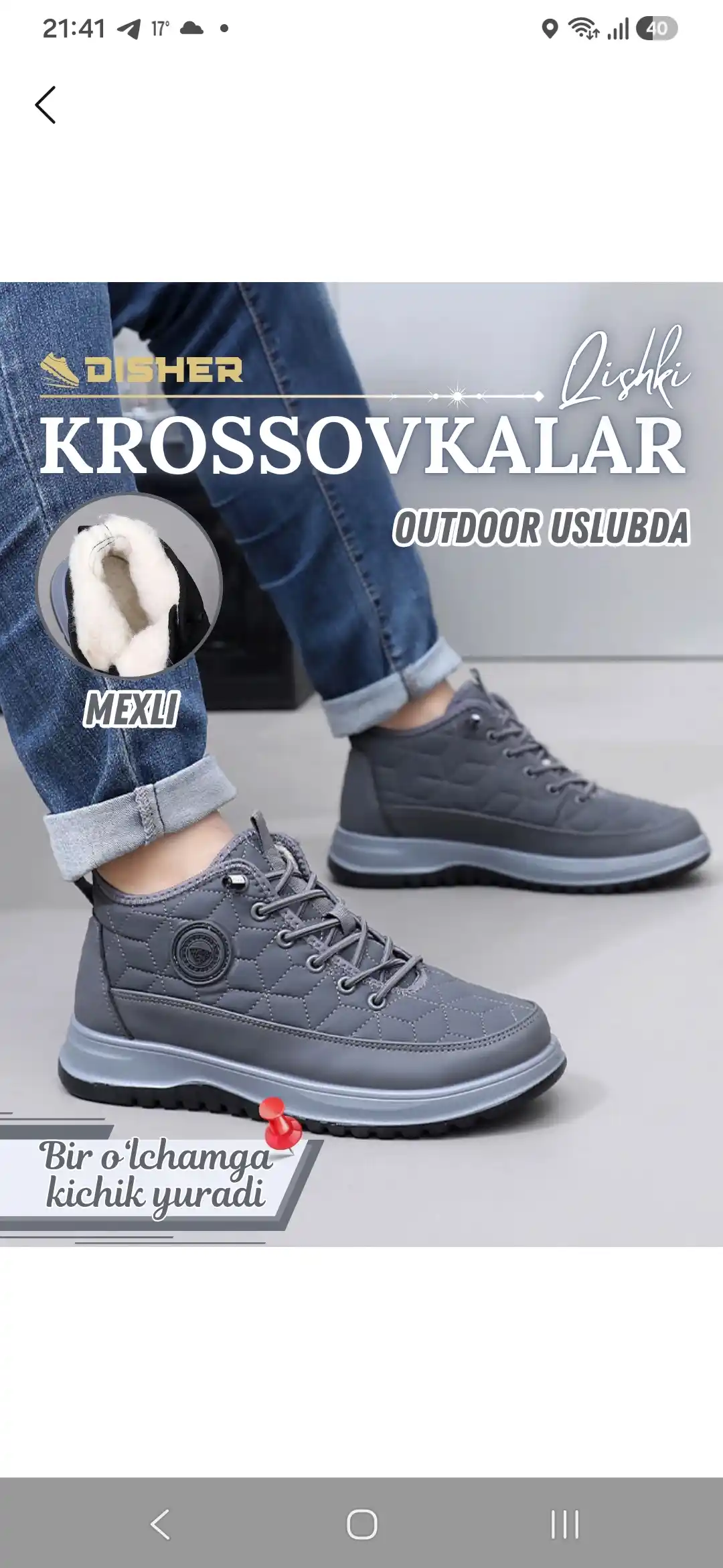 Erkaklar krossovkalari qishki DISHER ArcticWalk