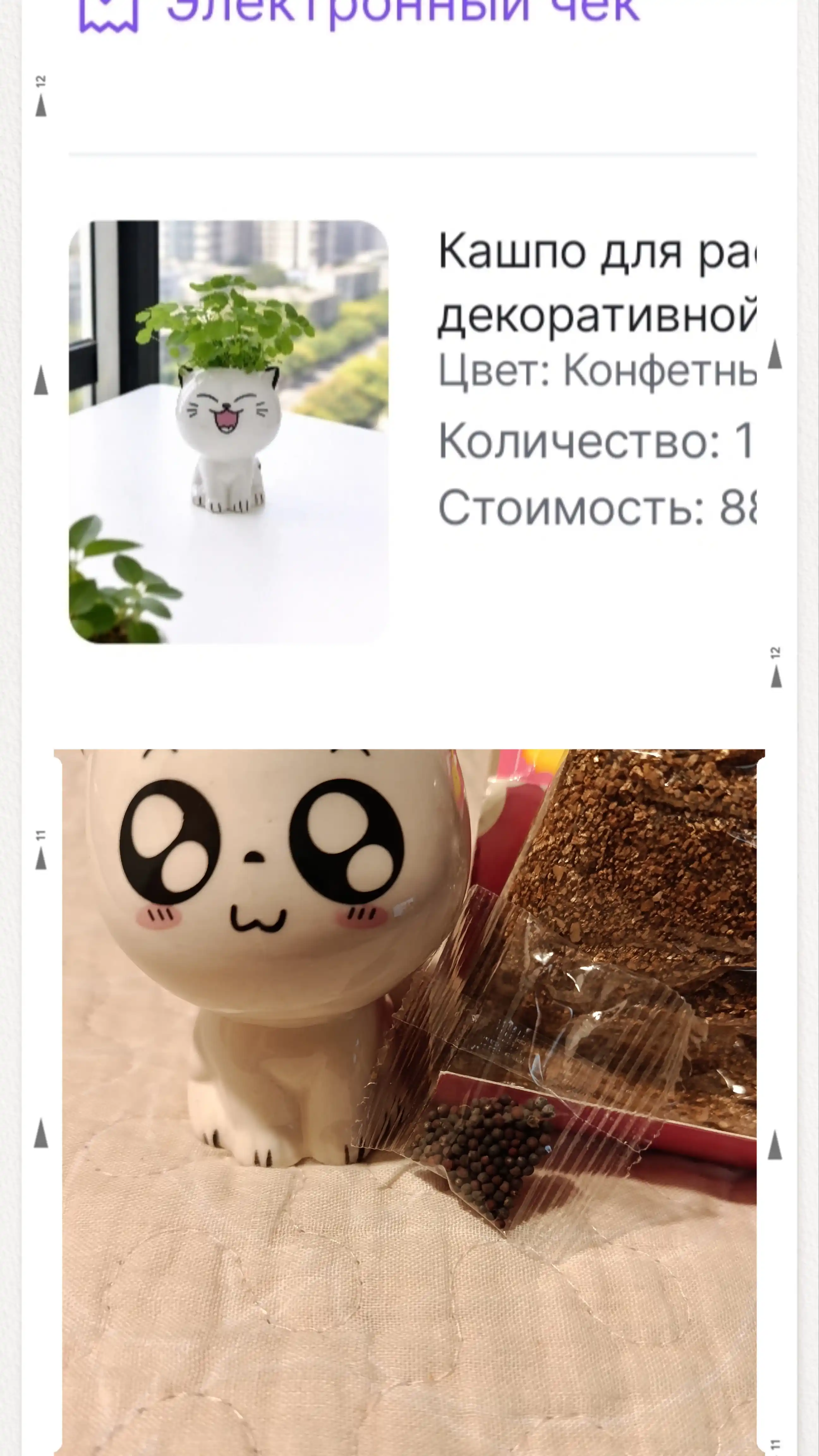 Кашпо для растений в декоративной форме