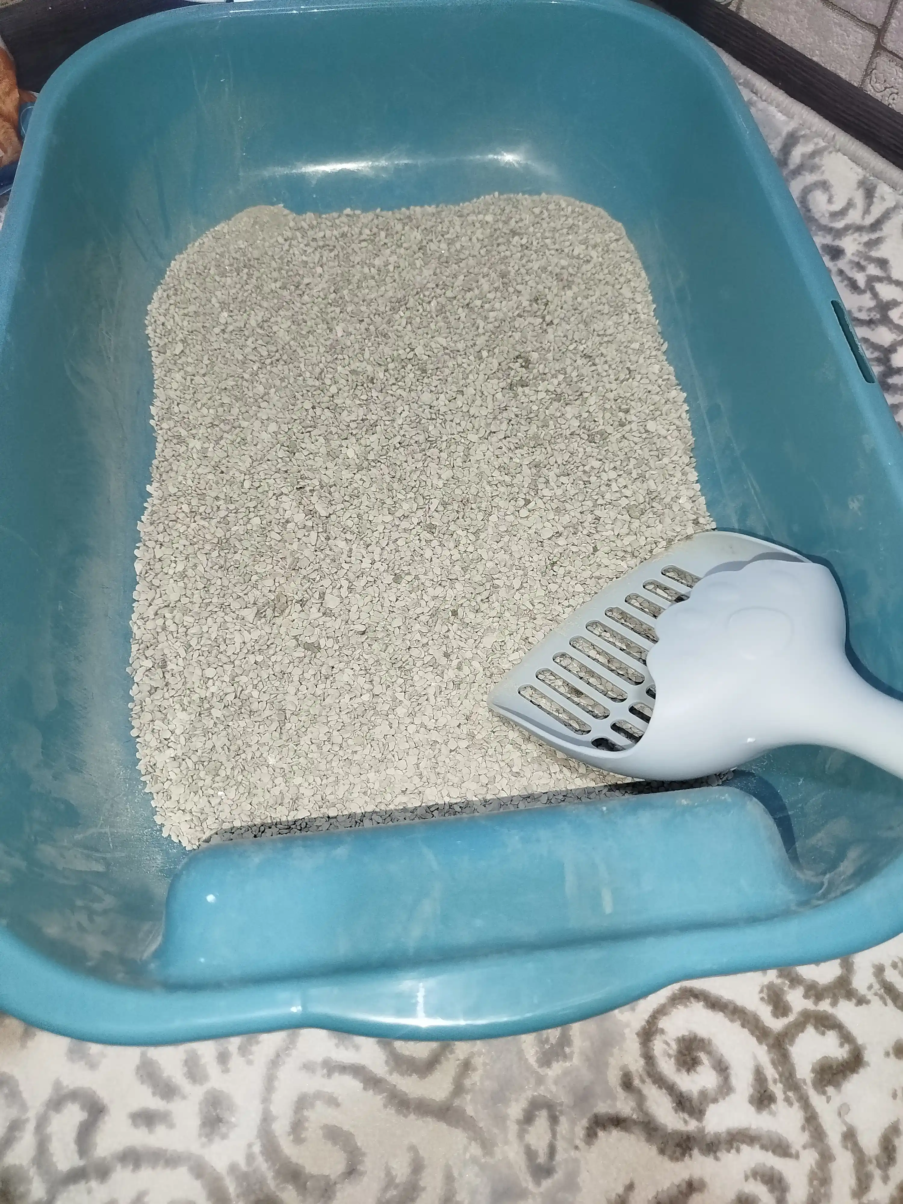 Mushuklar xojati uchun "Laykis" to'shmasi