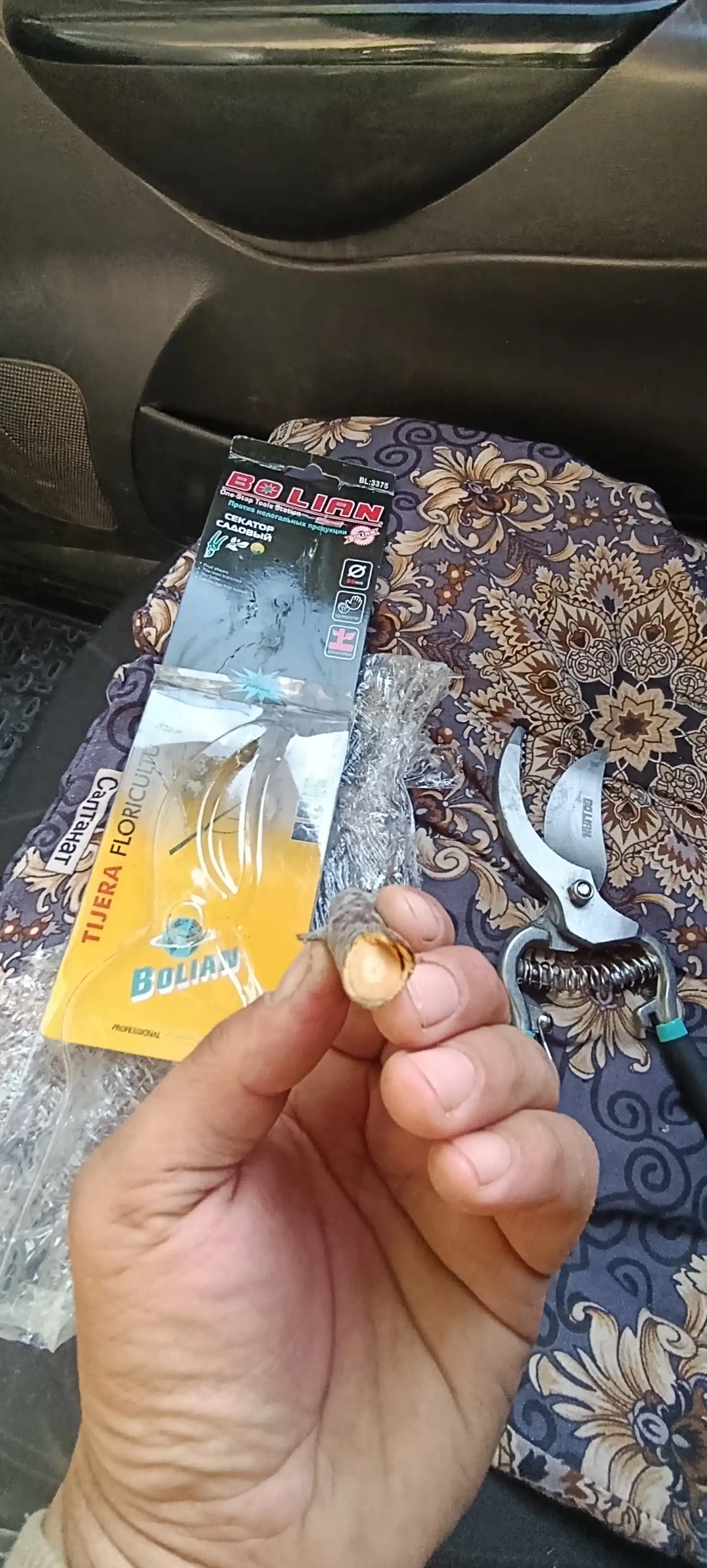 BOLIAN tok qaychi