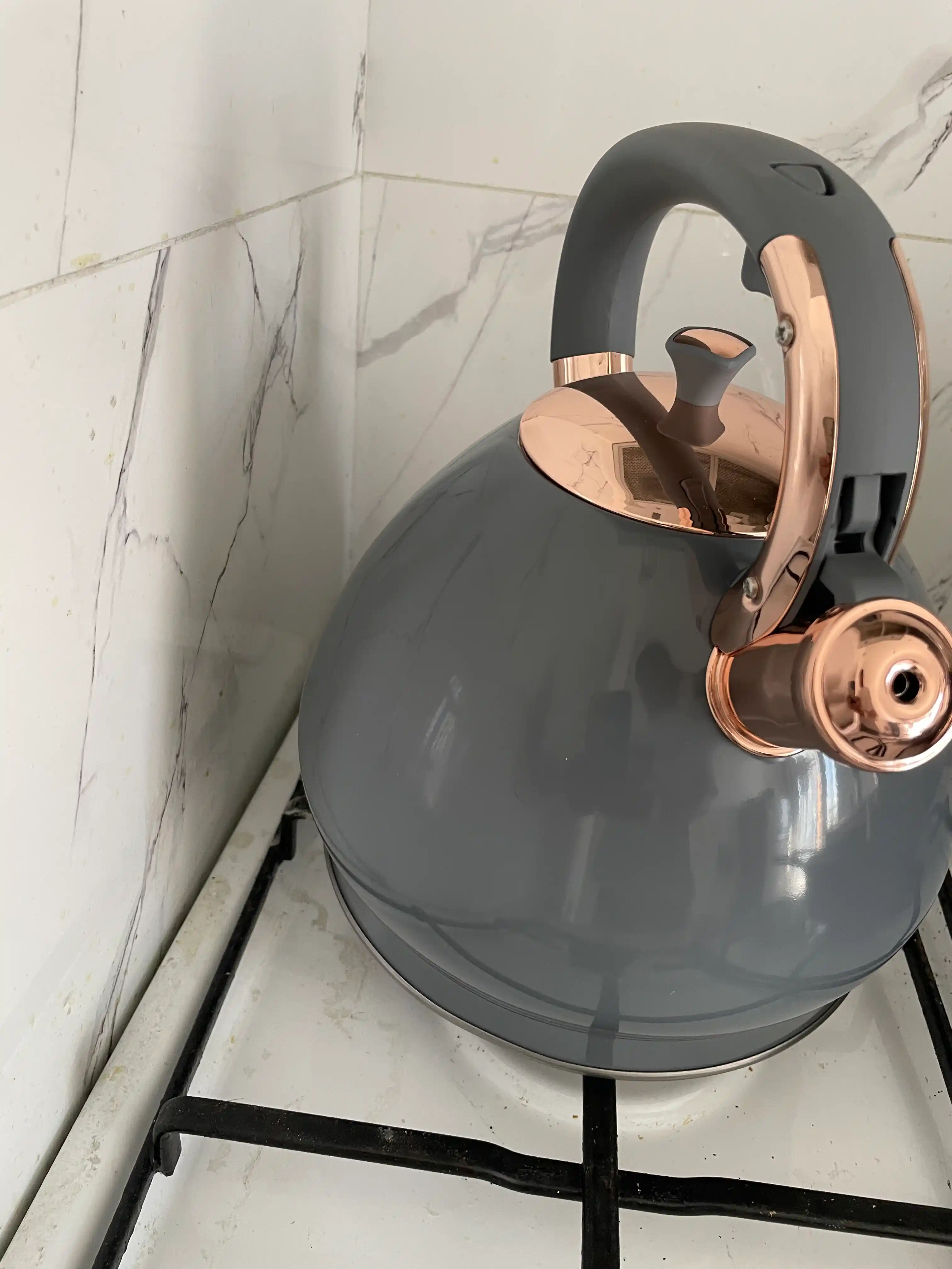 Zanglamas po'latdan hushtakli choynak HJ-3.5L MW, plita uchun 3.5 litr