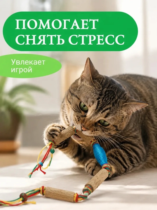 Mushuklar uchun myata, matatabi tabiiy tayoqchasi