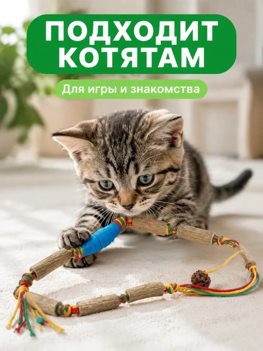 Mushuklar uchun myata, matatabi tabiiy tayoqchasi