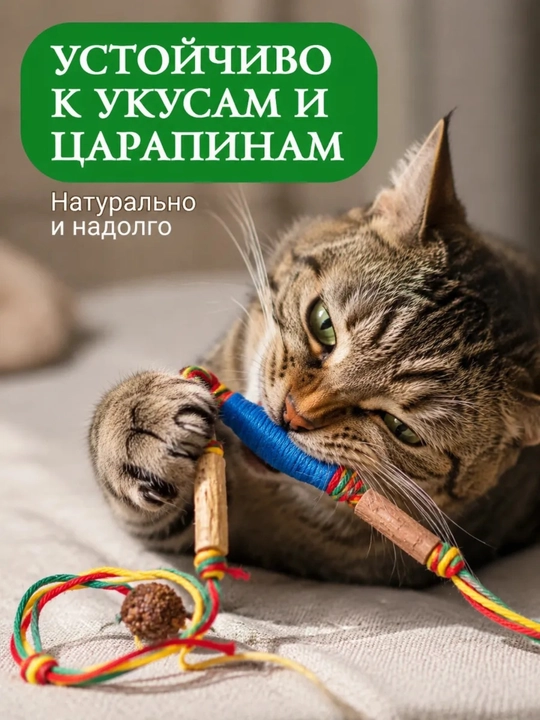 Mushuklar uchun myata, matatabi tabiiy tayoqchasi