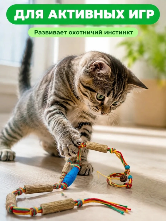 Mushuklar uchun myata, matatabi tabiiy tayoqchasi