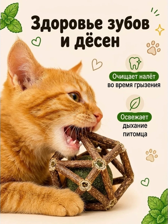 Mushuklar uchun myata, matatabi tabiiy tayoqchasi