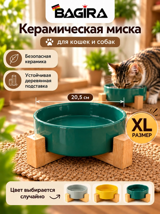 Mushuk va itlar uchun yog‘och taglikdagi sopol kosa, BAGIRA